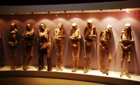Museo de las momias